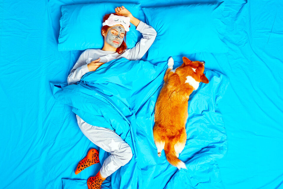 Sleeping companions The best dogs to share your bed with •