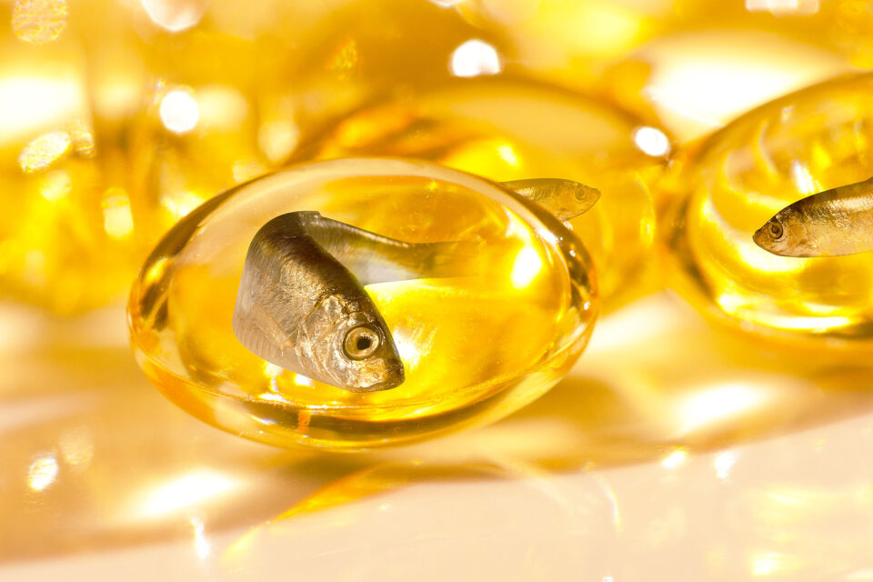 An Omega3 fatty acid known as DHA may prevent hearing loss •