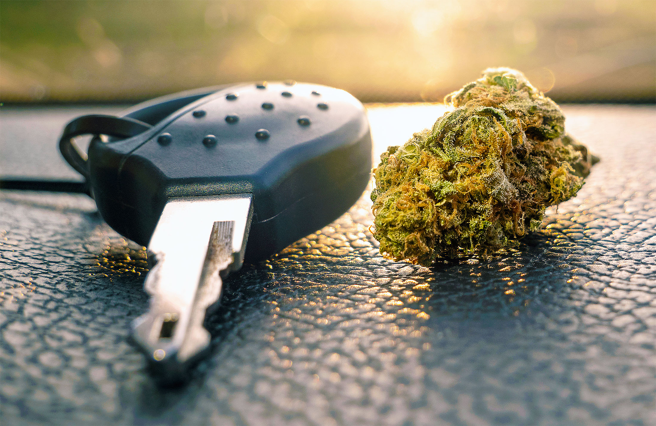 Cannabis impairment is difficult to determine using police field