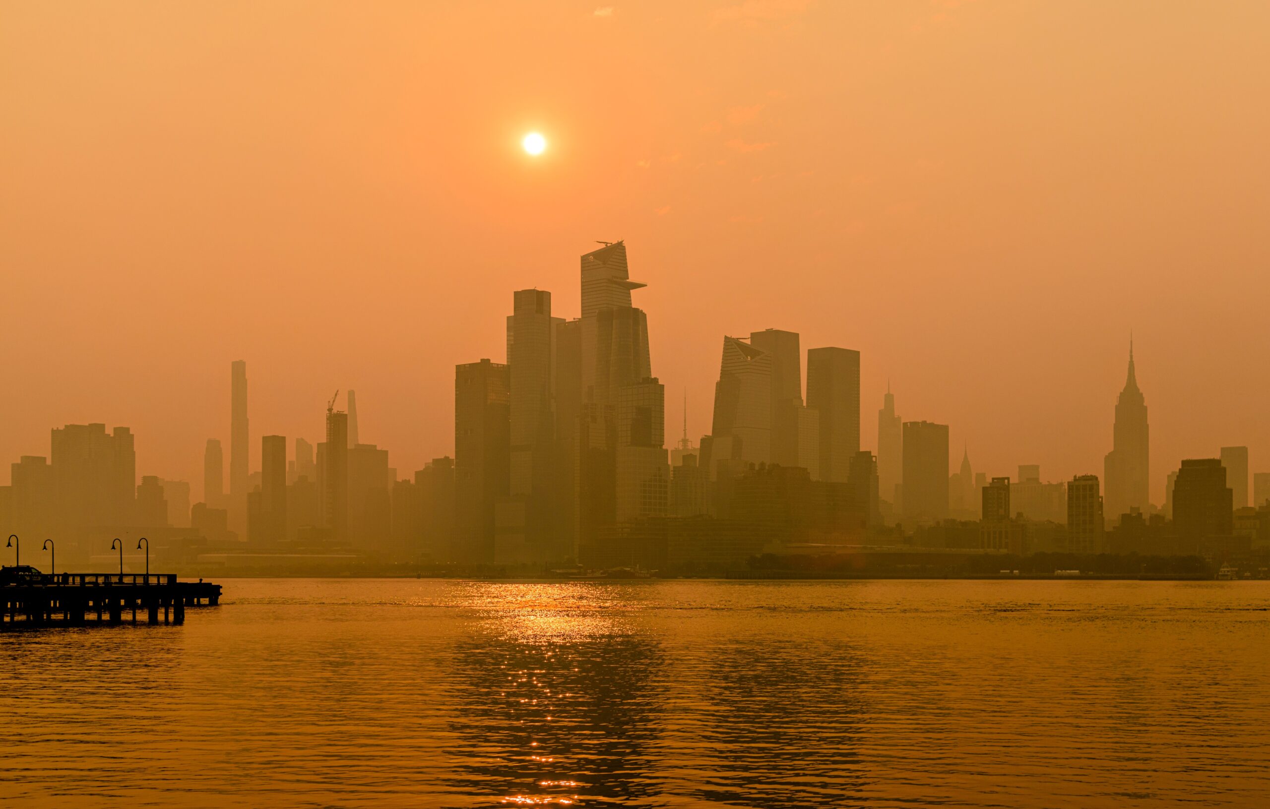Pollen Count Nyc Today - y9nj8l7