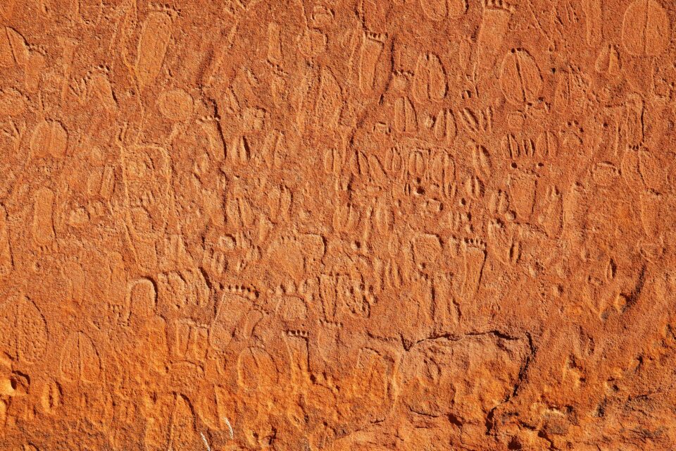 Stone age artists carved incredibly detailed animal tracks onto rocks