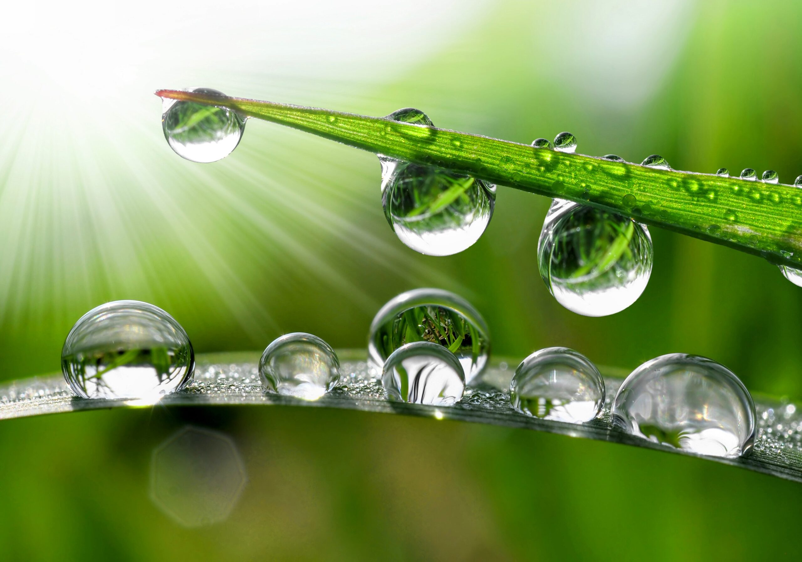 Breakthrough hydrogel device turns hot summer air into drinkable water