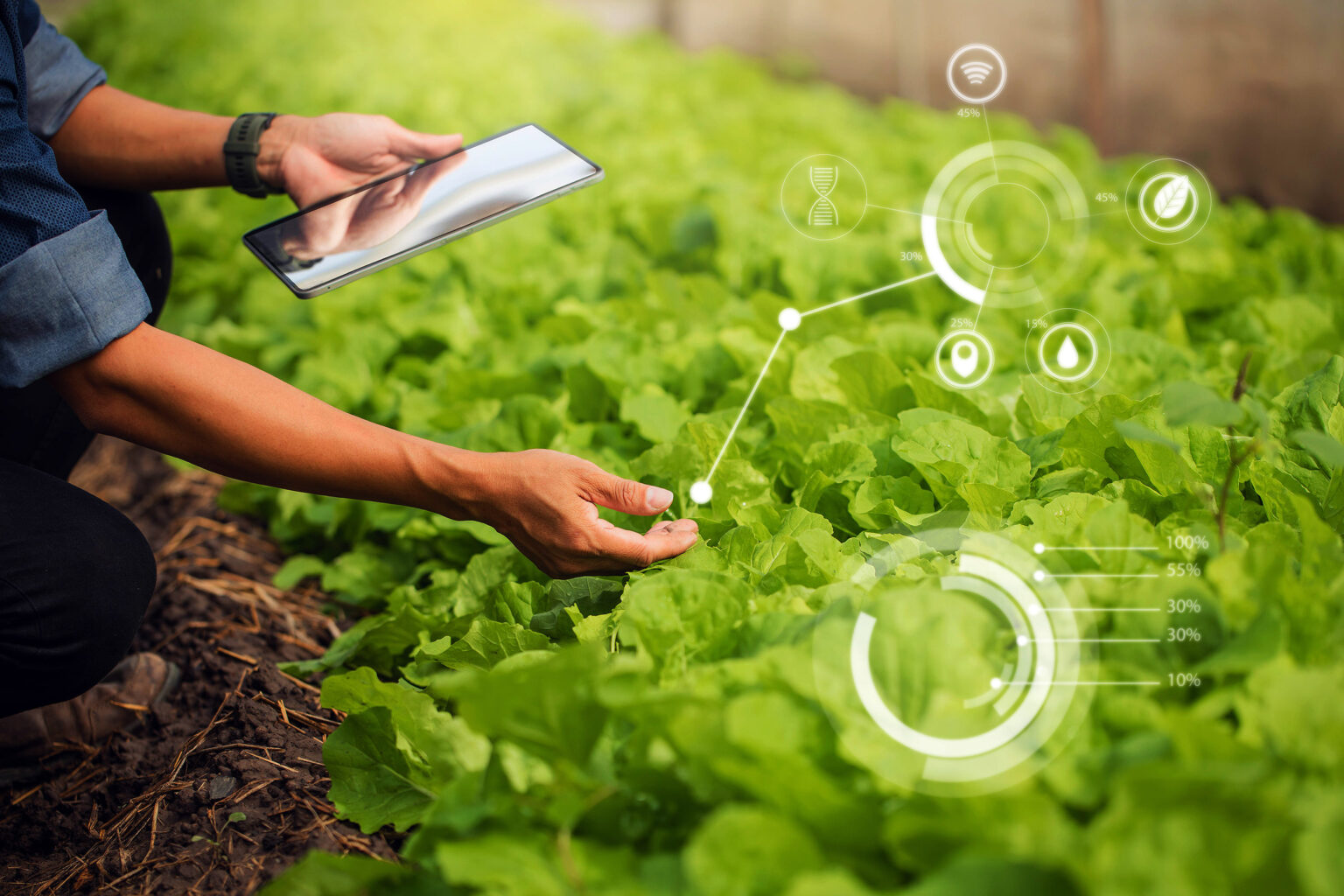 New invention enables humans to 'talk' to plants using light •