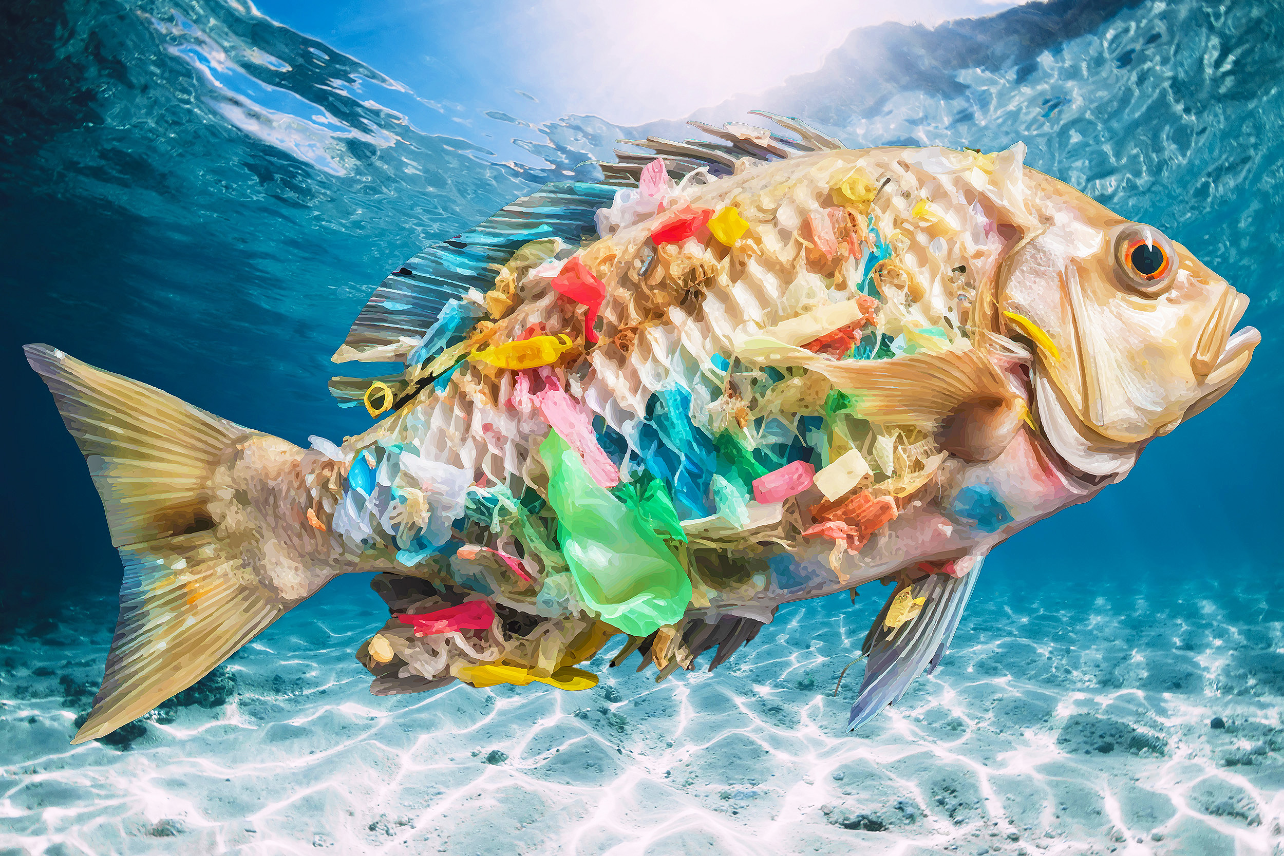 Ocean Pollution Fish Plastic Pollution Under The Sea Kids Fish Craft