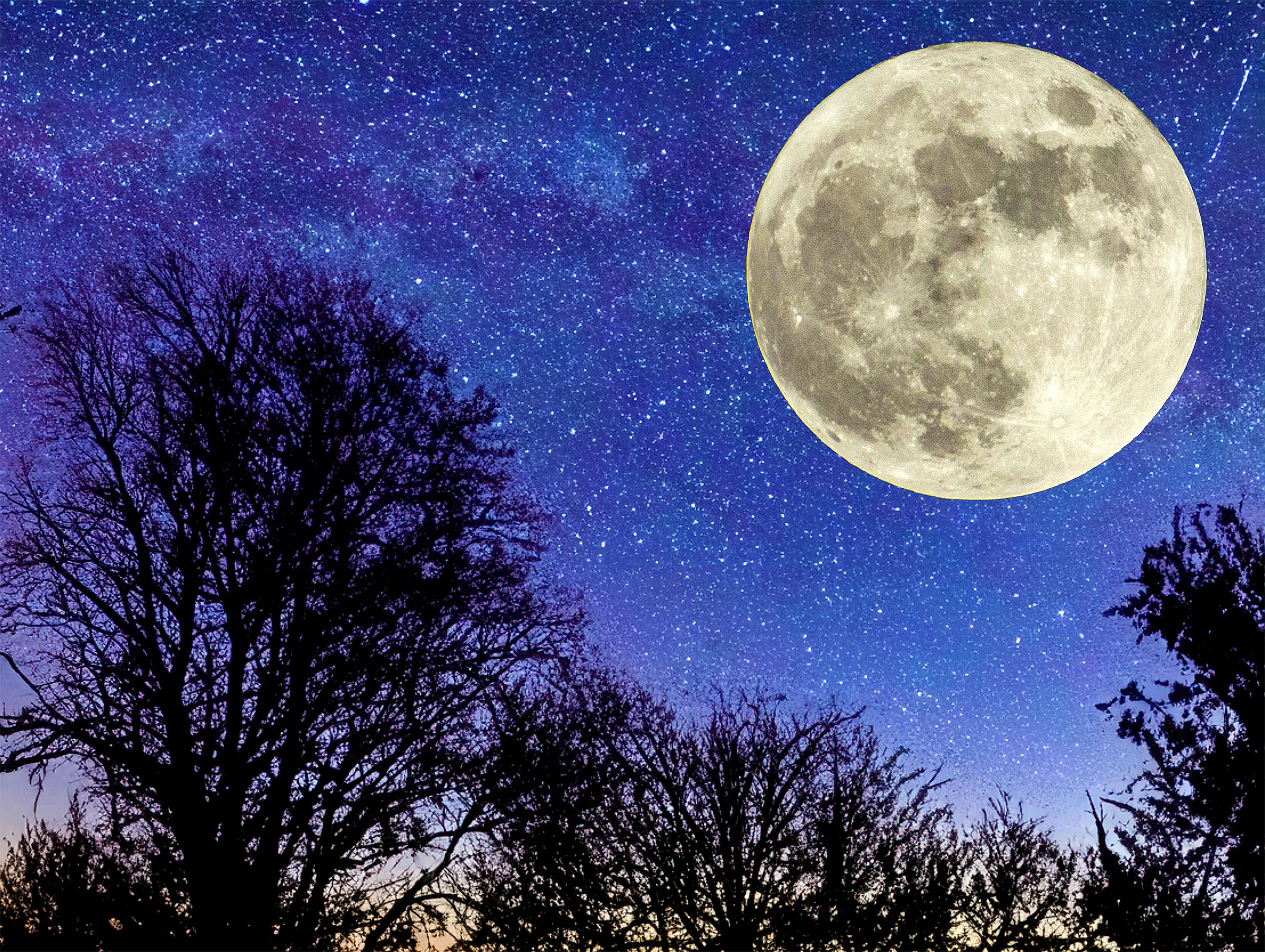The Beaver Moon Is Coming Tonight Here s What You Should Know 