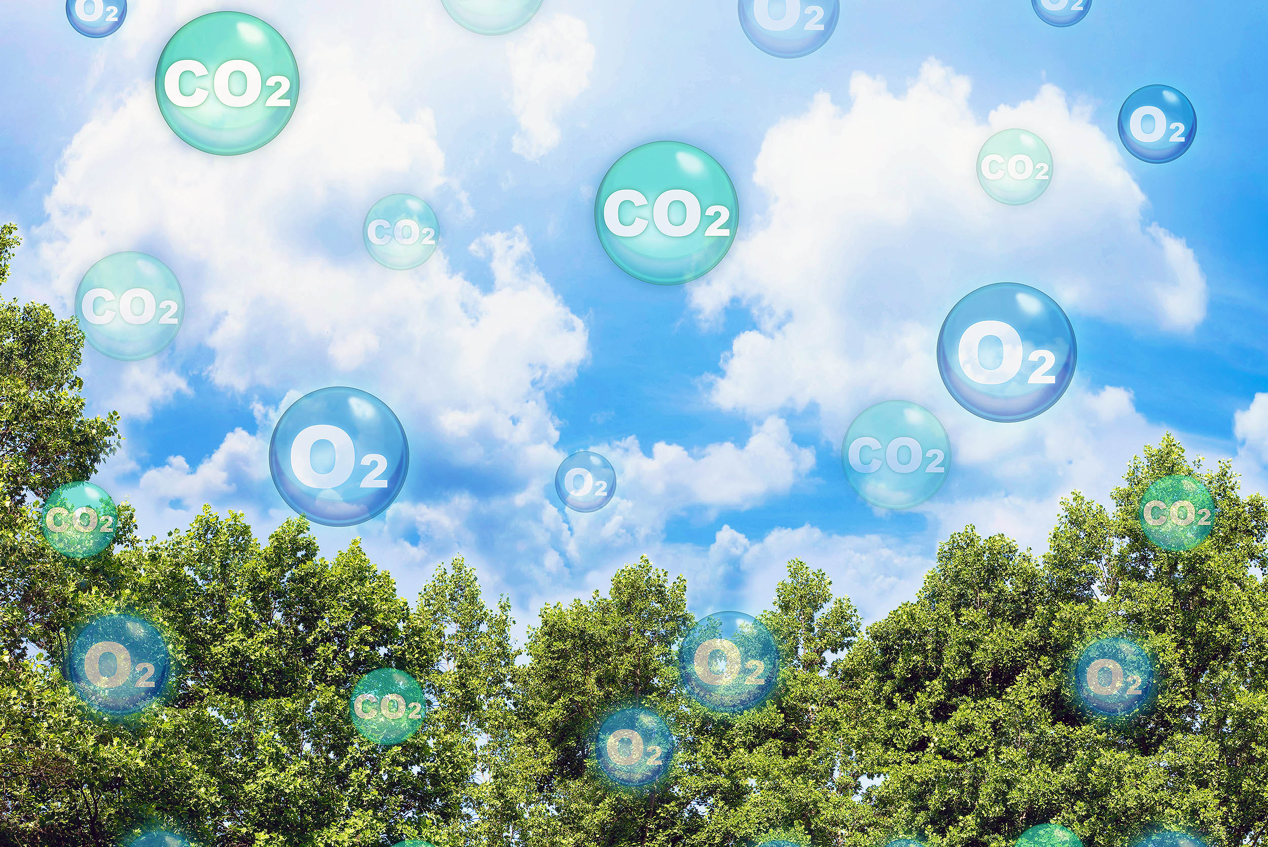 CO2 a more potent greenhouse gas as climate changes