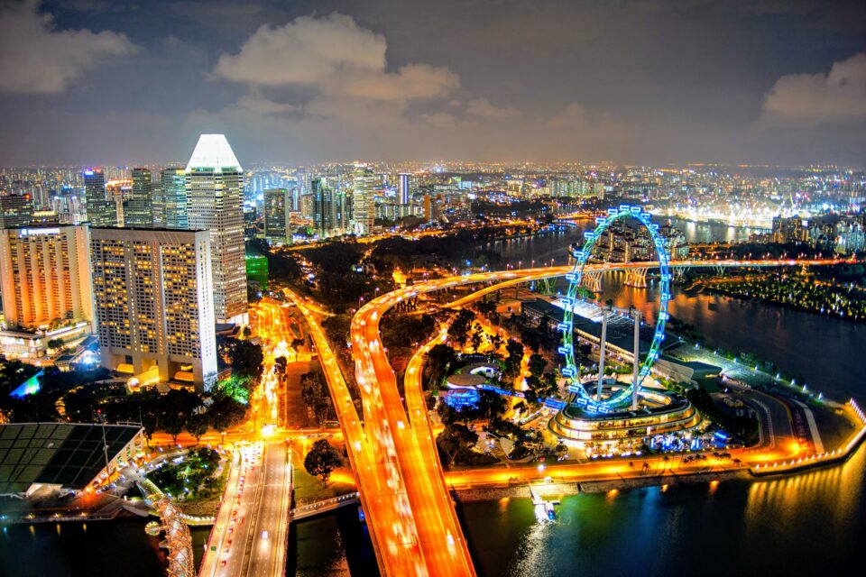 Artificial light is luring birds to their death by the millions •