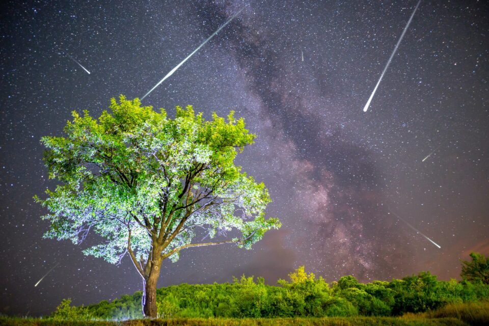 Look up! Best meteor shower of the year peaks tonight •