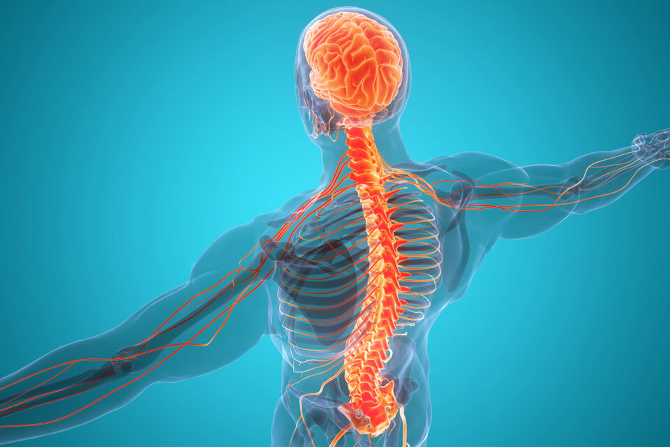 Treating depression with electrical stimulation of the spinal cord •