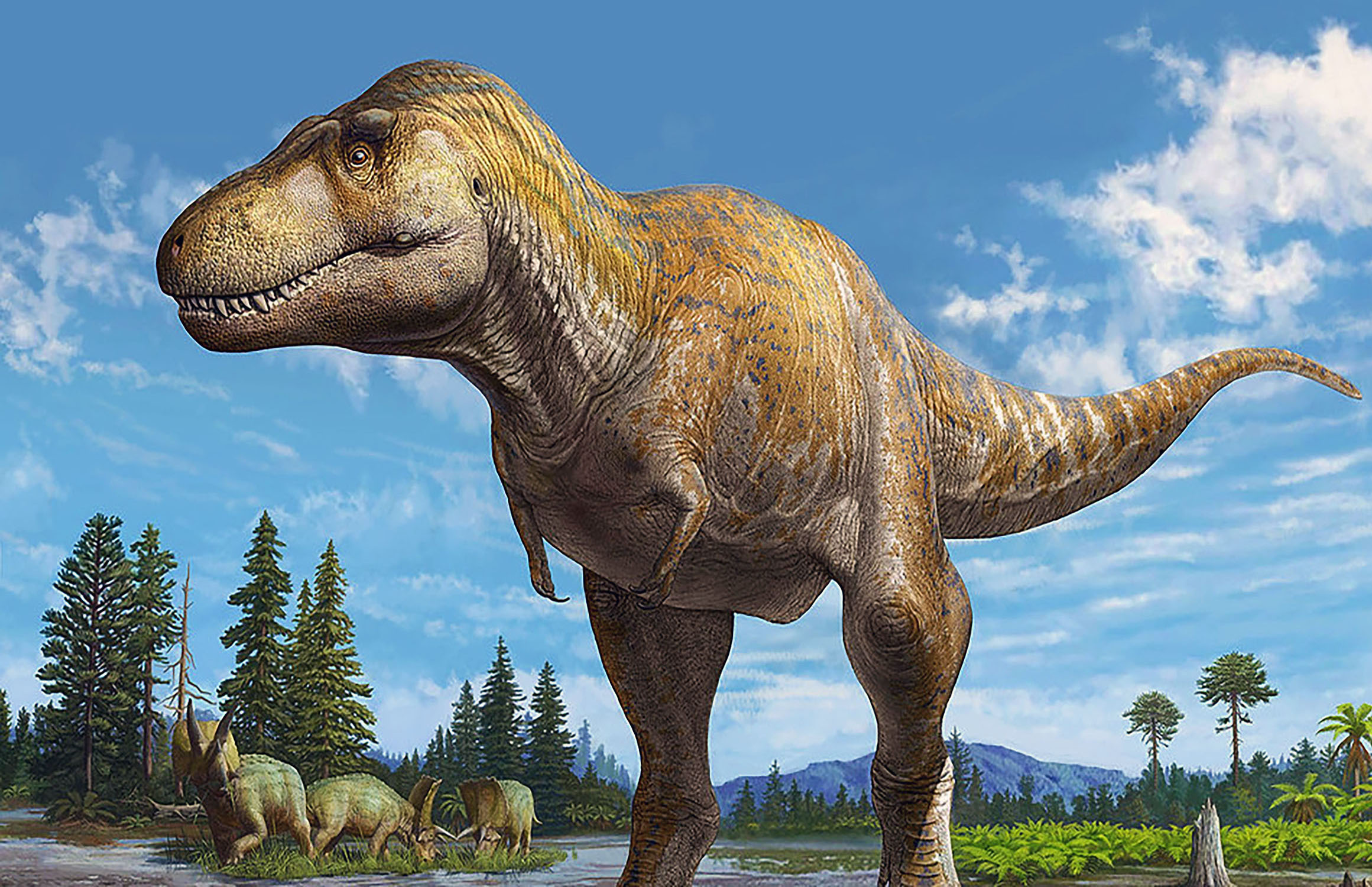 Introducing Tyrannosaurus Mcraeensis T Rex s Closest Relative Earth Introducing Tyrannosaurus Mcraeensis T Rex s Closest Relative Earth