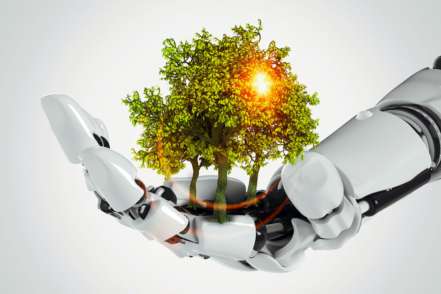 AI can now simulate tree growth and the shape of forests •