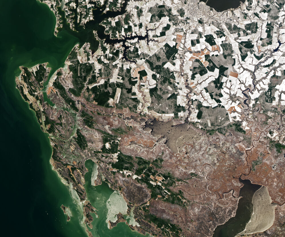 Dorchester County and the legacy of a great American hero - Earth.com