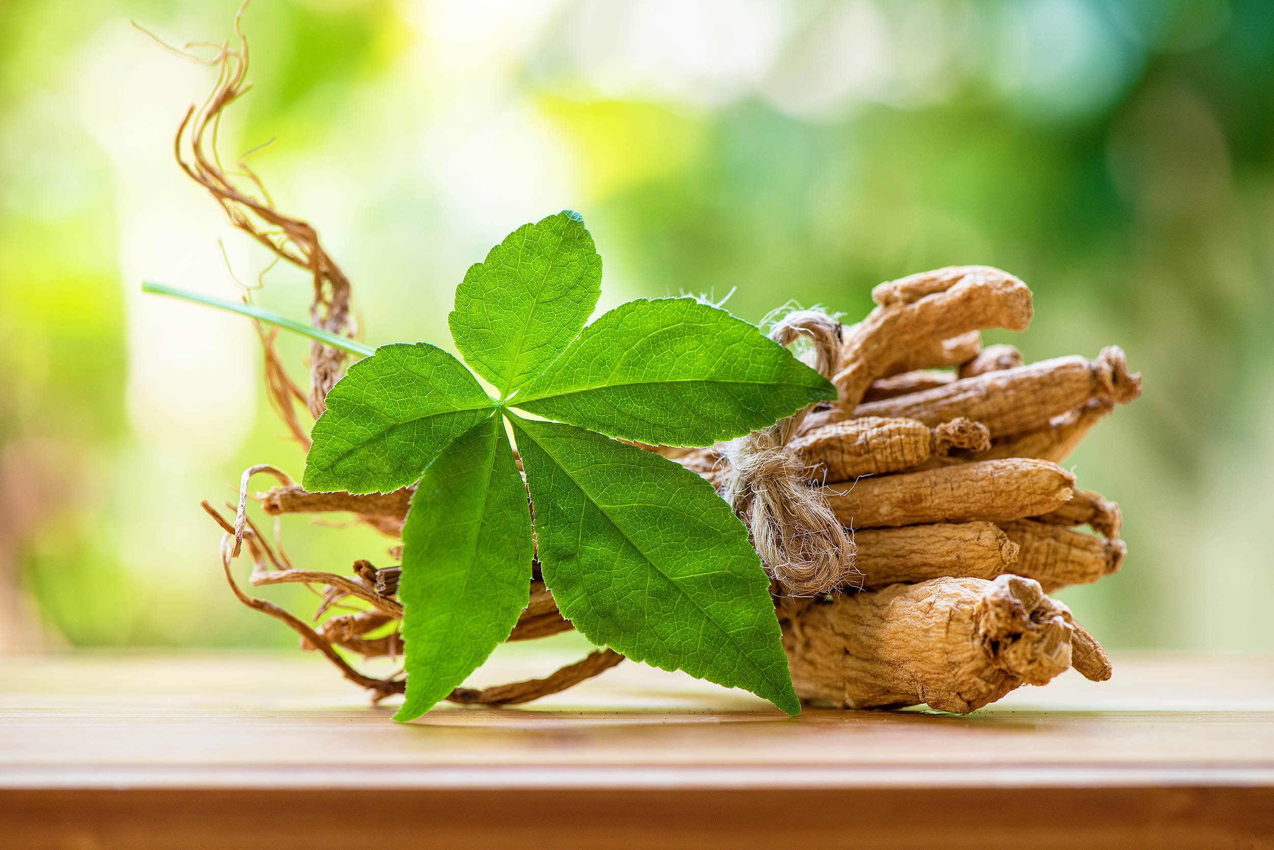 Ginseng boosts exercise performance and helps muscle recovery
