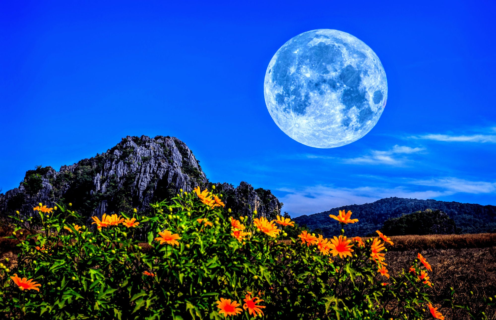 May's full Moon this week will eclipse a giant red star - Vimarsana News