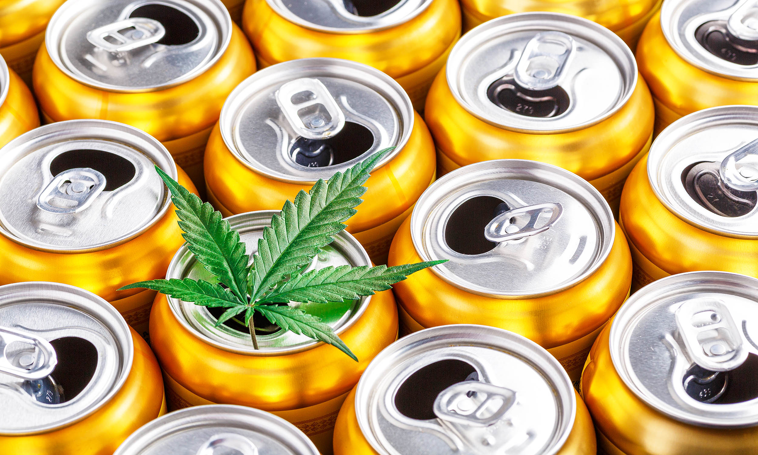 Weed Vs Alcohol Memeterms Of Use - g3csuag