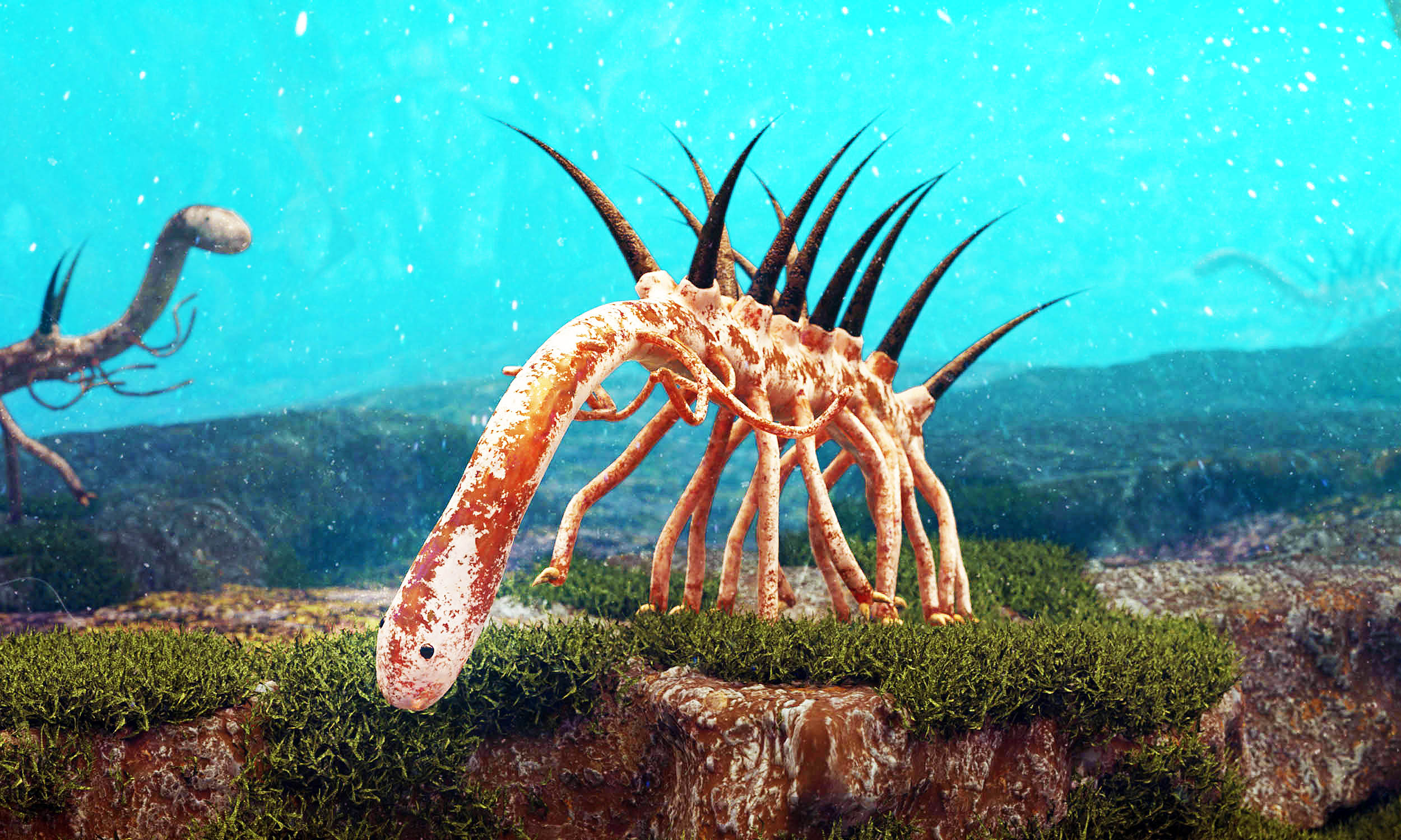 Grand Canyon Fossil: Penis Worm Points To Explosive Evolutionary Period - yjrsrp9