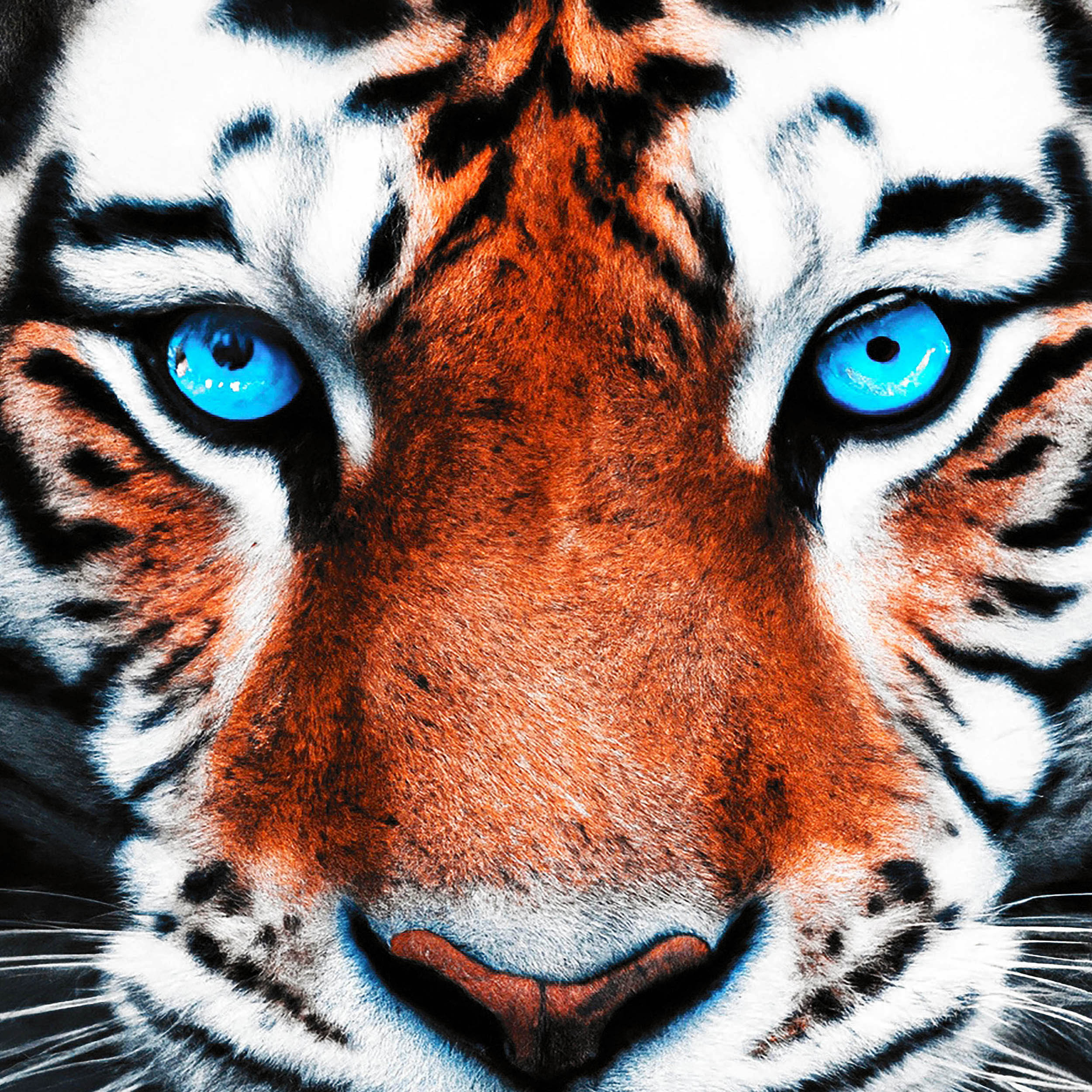 High-tech camera replicates animal vision, showing humans a world of colors they've never seen