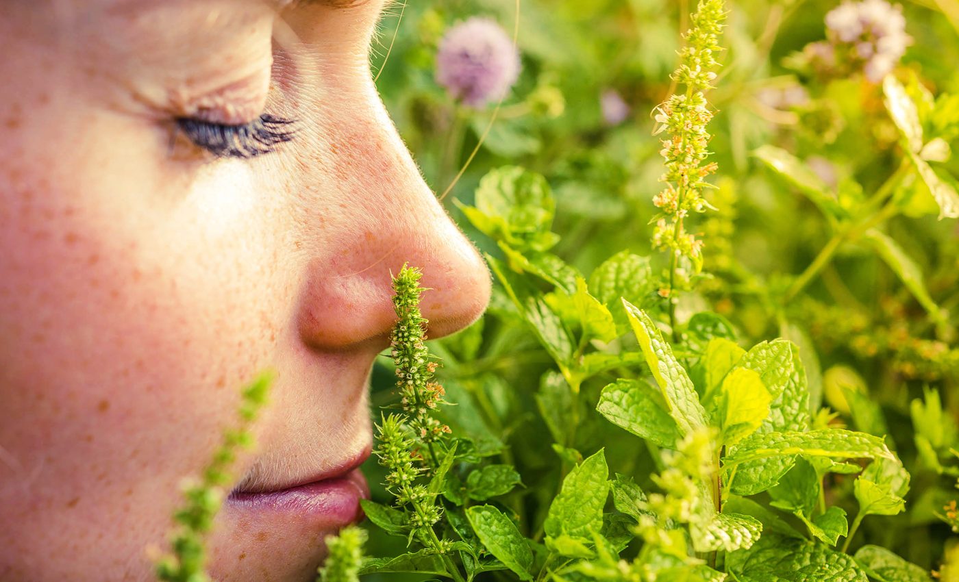 Our sense of smell detects odors in less time than it takes to blink -  Earth.com, image size:1400x850
