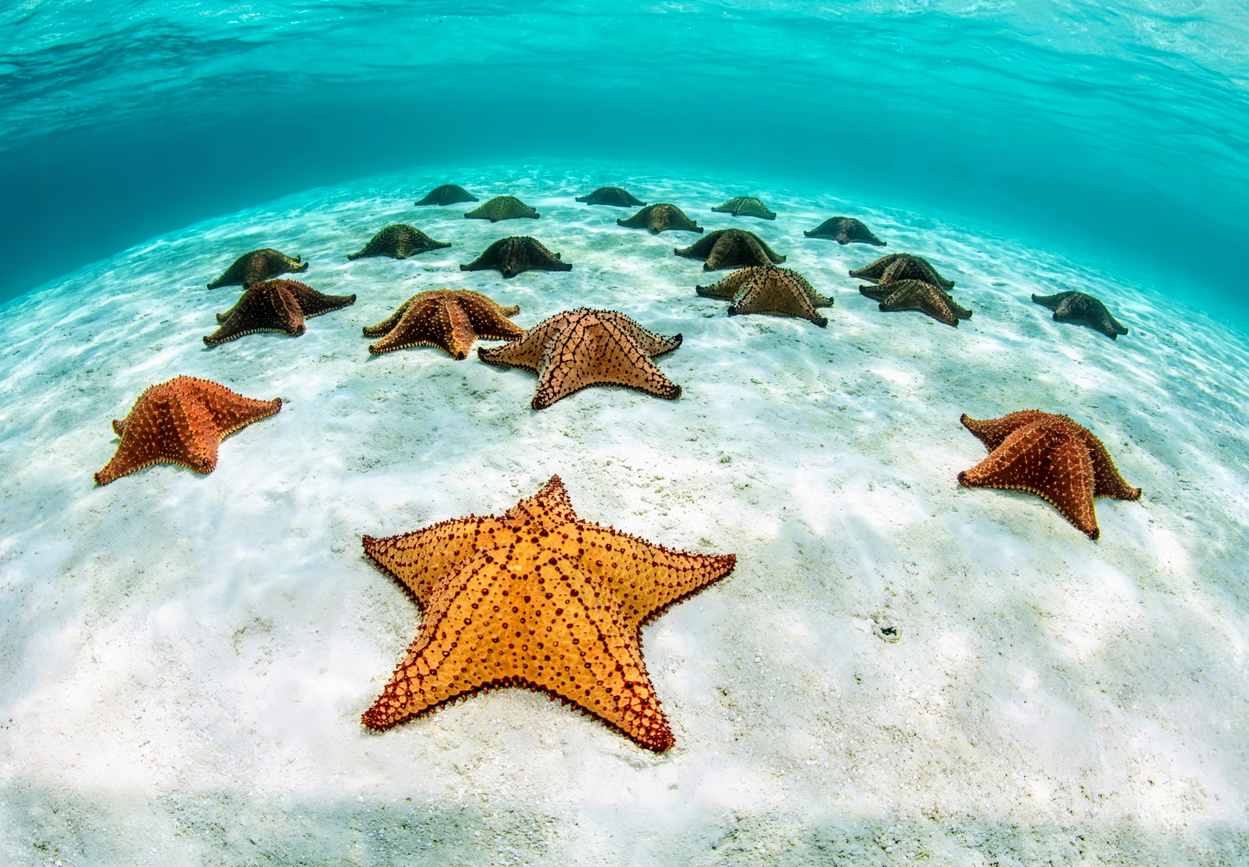 How marine protected areas boost human health