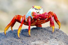 News article thumbnail
