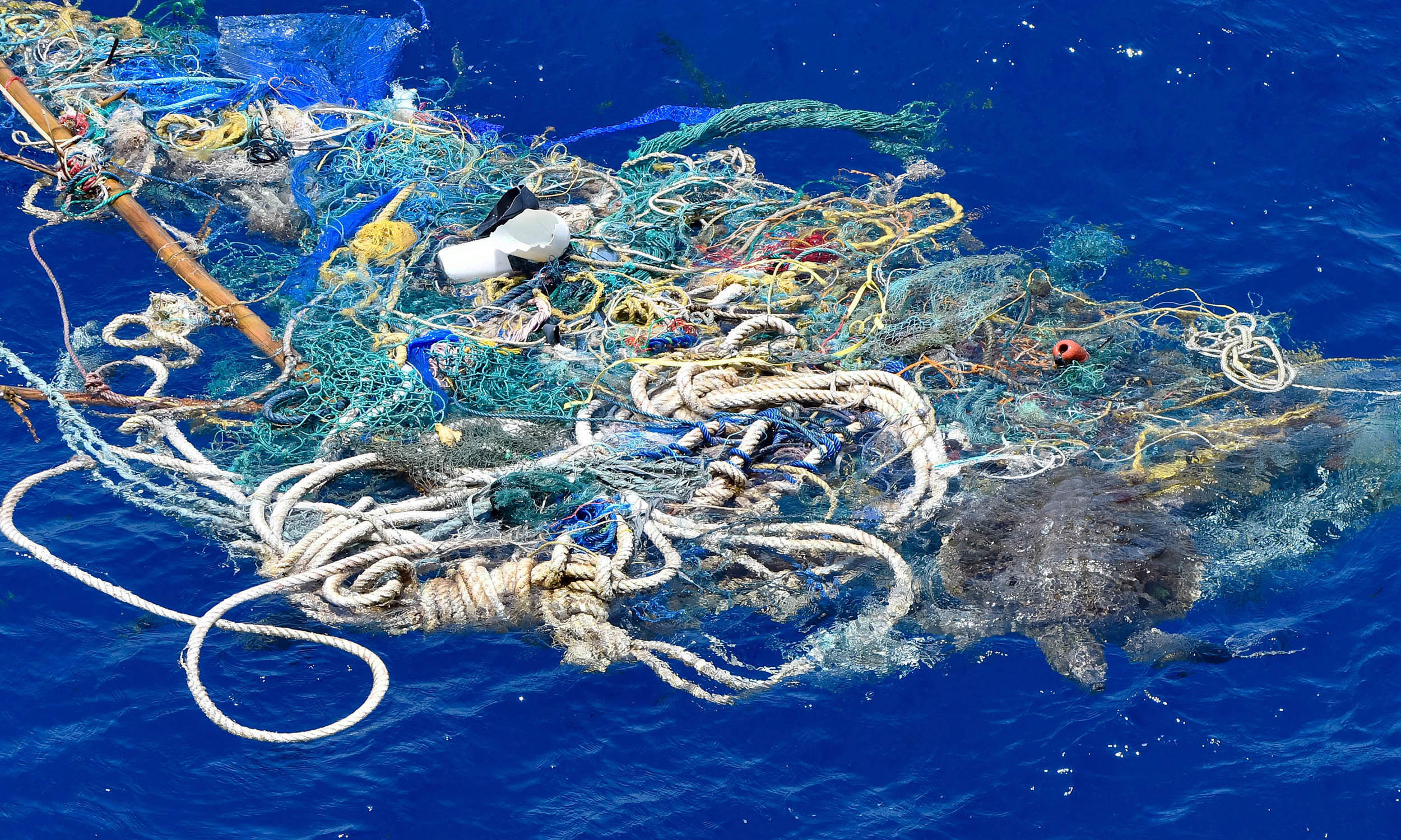 Some scientists want to stop cleaning plastic from Earth's oceans - Earth.com