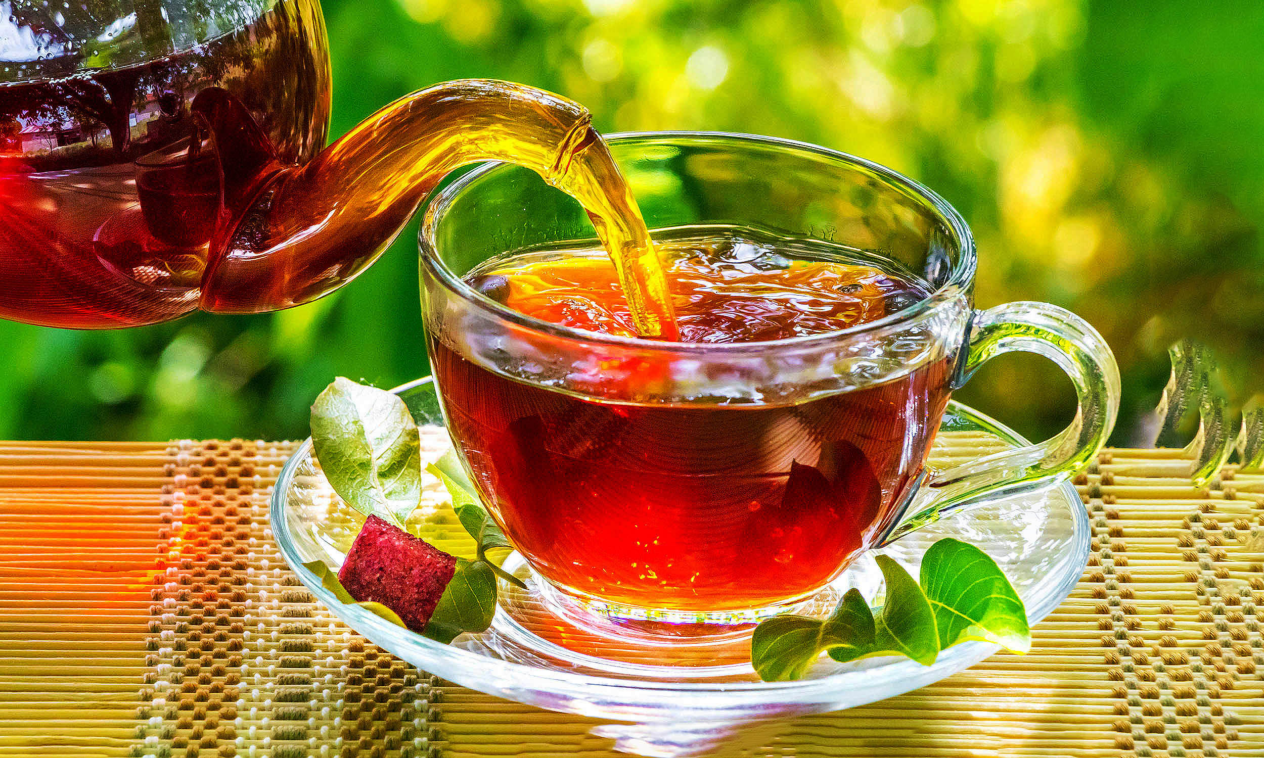 Drinking this every day is shown to slow biological aging in humans