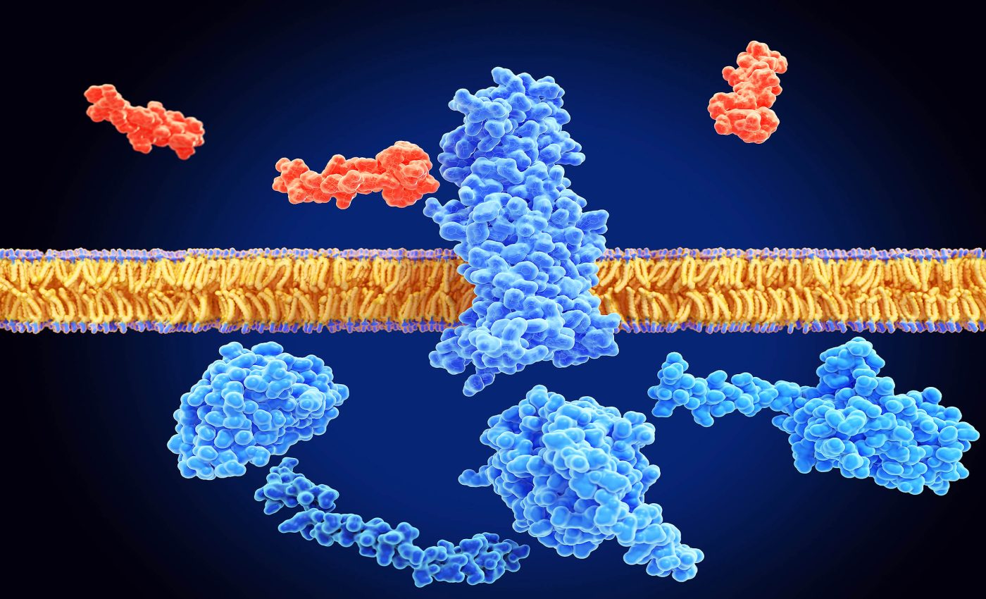 glp 1 advantages The Benefits of GLP-1 Therapy: Beyond Weight Loss