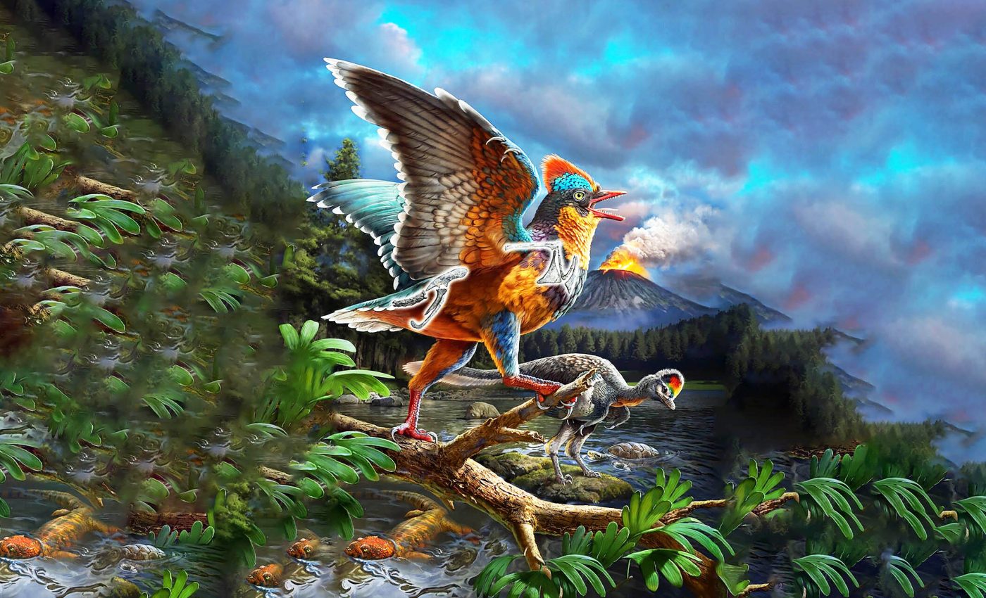 First Ever Bird What Was The First Flying Bird