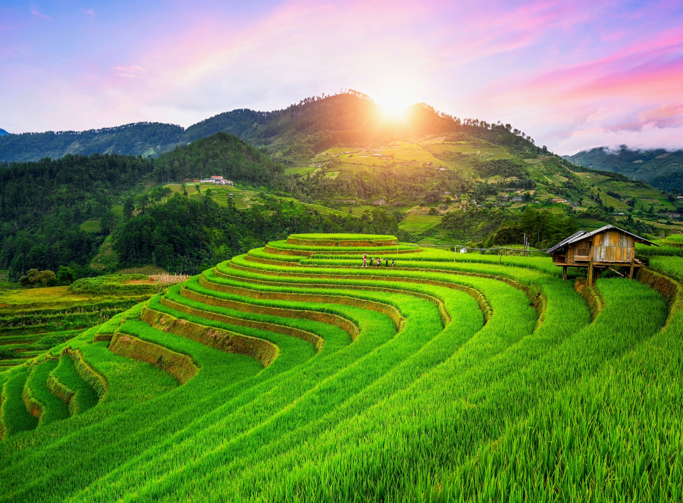 Earth's changing climate is harming crop diversity exactly where the security of global food production needs it most