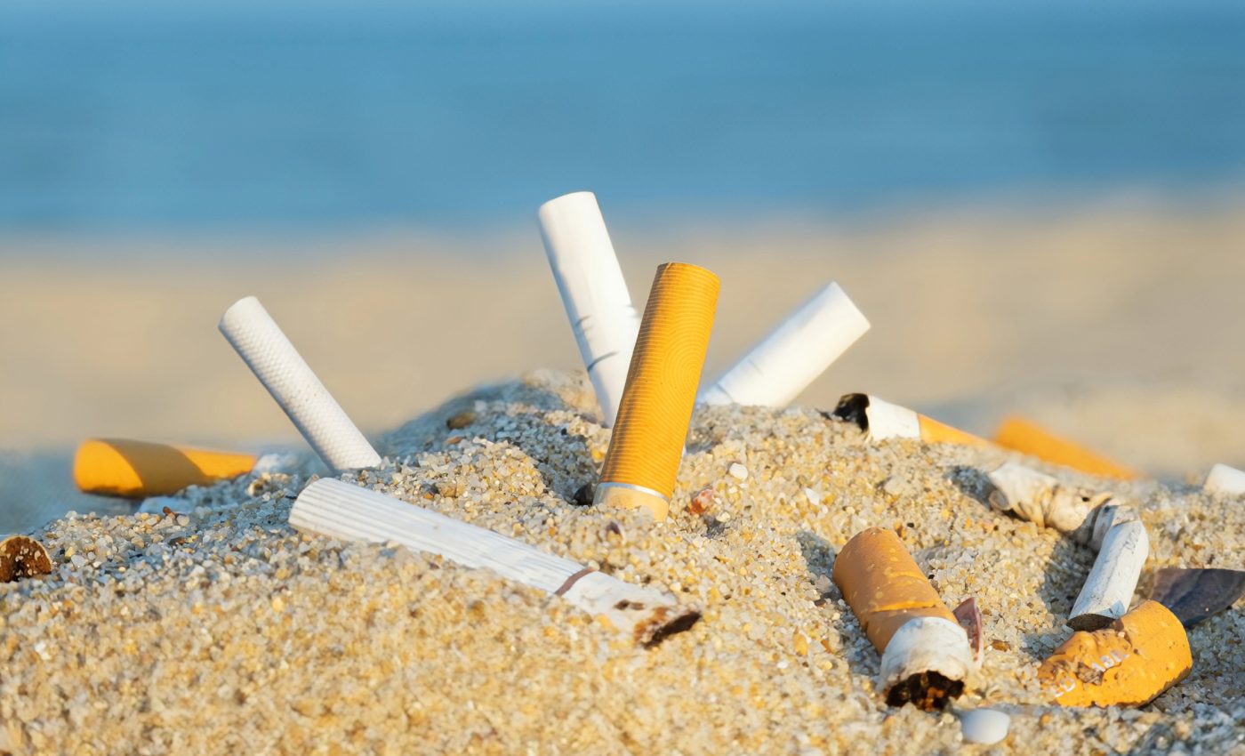cigarettes no additives No Additives