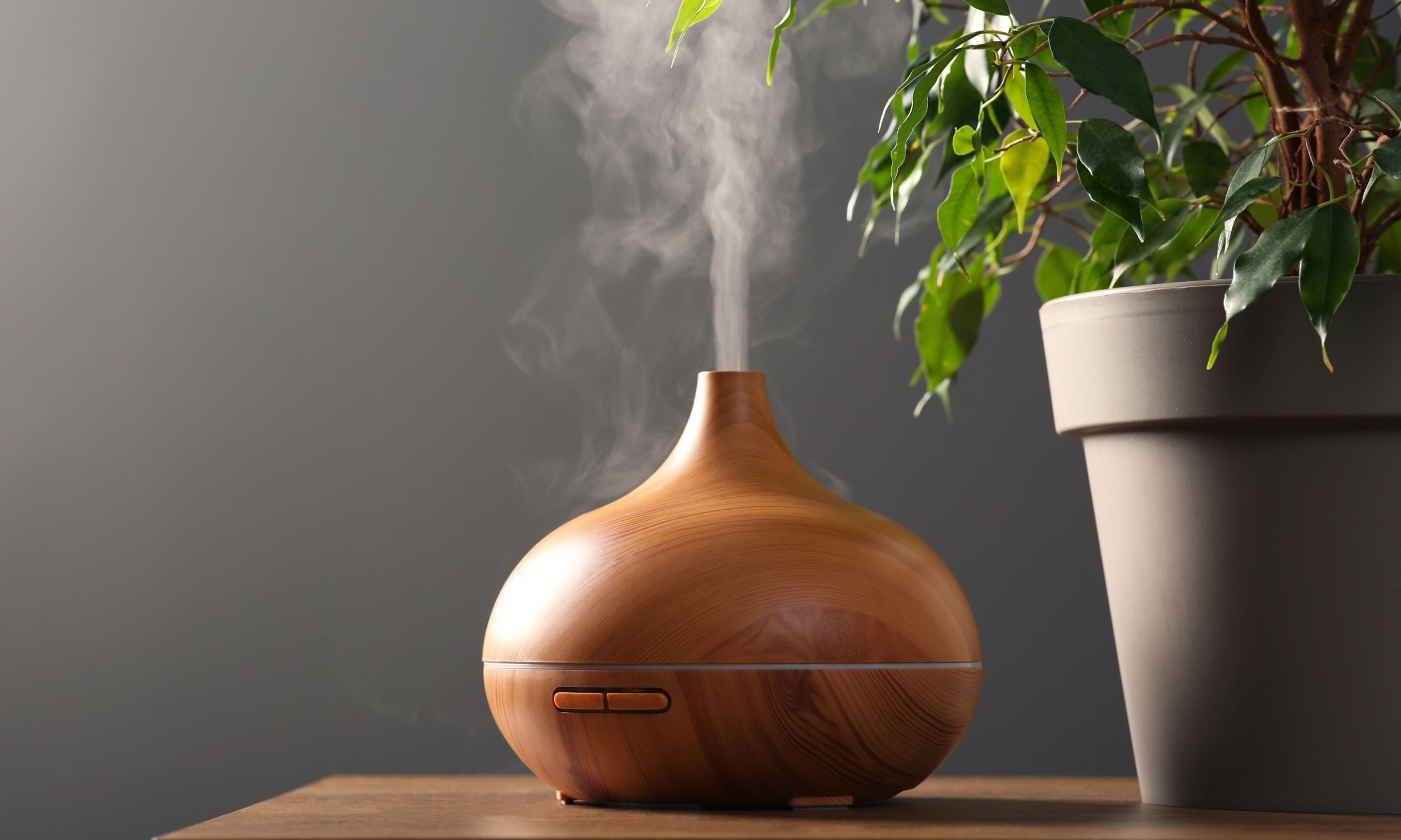 Air dryness might be as harmful to your lungs as air pollution