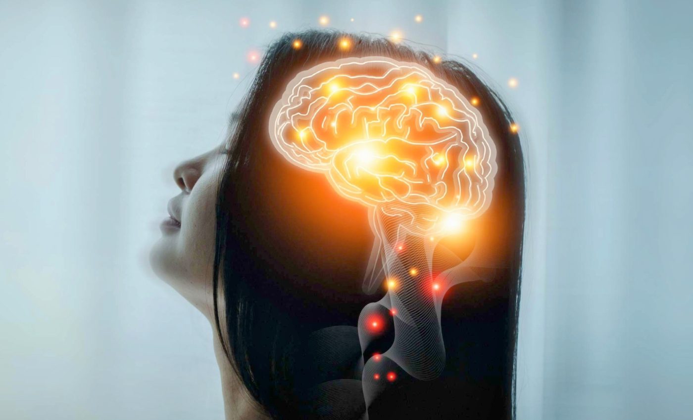 Brain Inside Profile Of Human Stock Photo – Royalty-Free Images | FreeImages, image size:1400x850