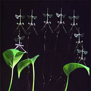 A composite image of the RoboBee landing on a leaf. Credit: Harvard Microrobotics Laboratory