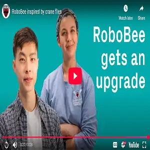 Click here to watch RoboBee in action. Credit: Harvard