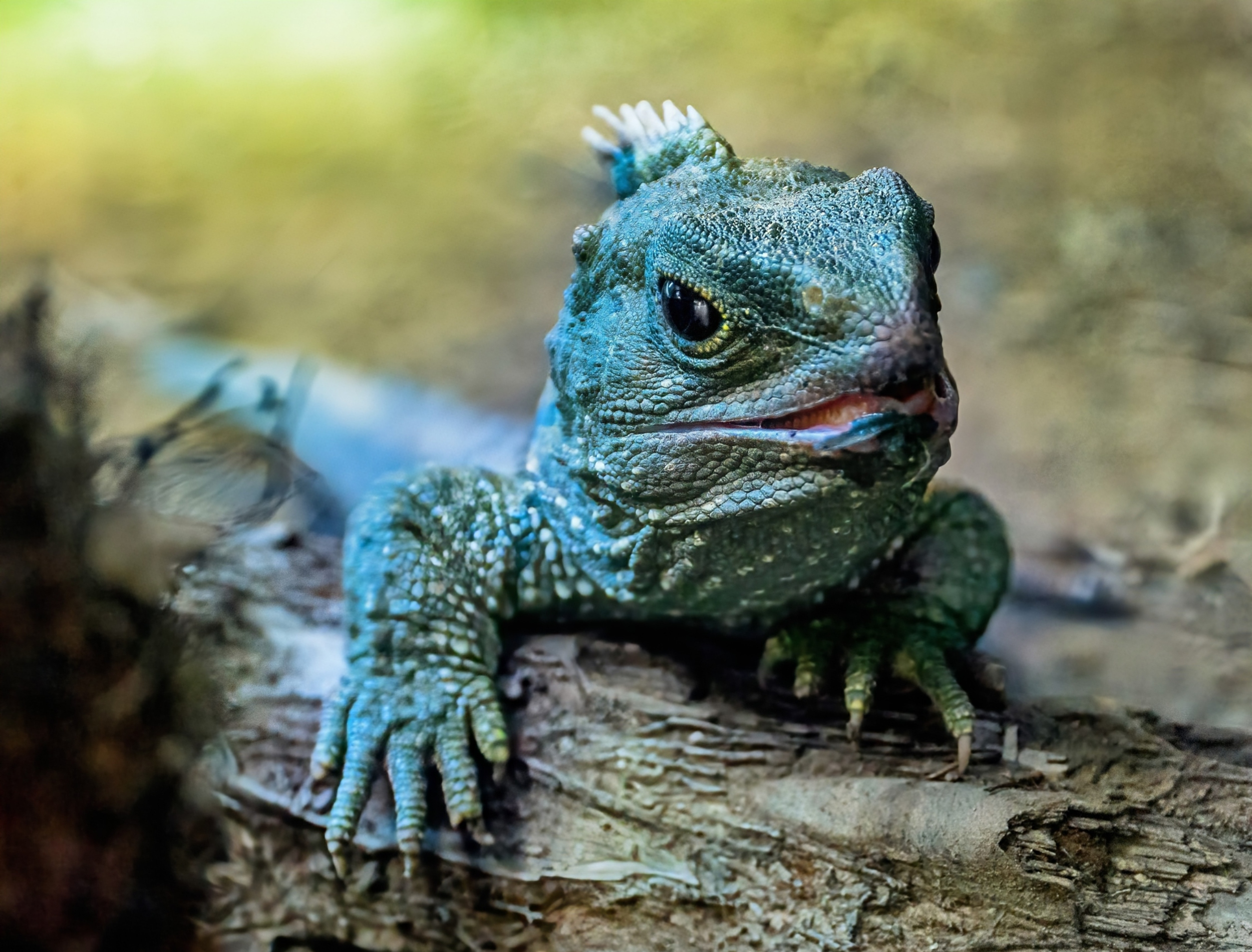 Reptiles survived 'hellish' conditions during Earth's worst climate crisis