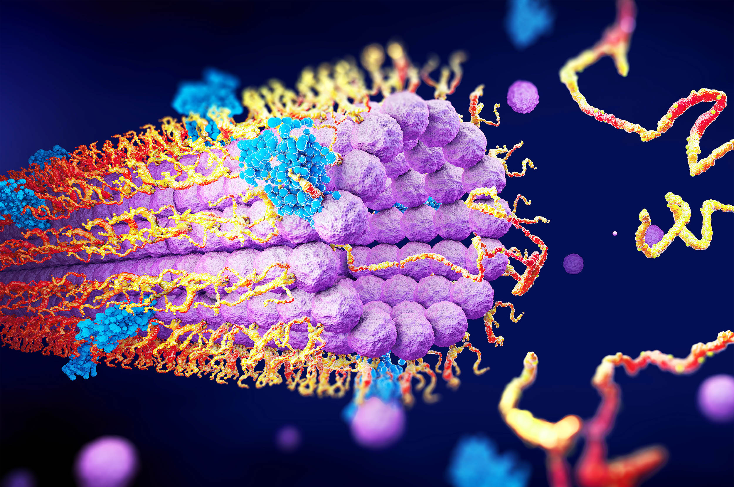 Some genes are like a light switch and turn on or off, no dimmer ...