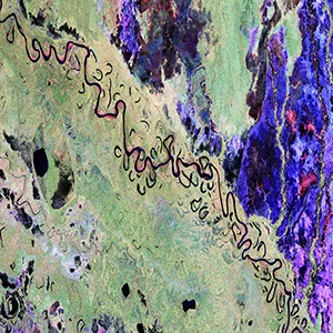 This image from the Biomass satellite features part of Bolivia. Bolivia has experienced significant deforestation, ranking among the highest globally for primary forest loss. Although there are complex reasons at play, this is primarily driven by forest clearance for agricultural expansion. Credit: ESA