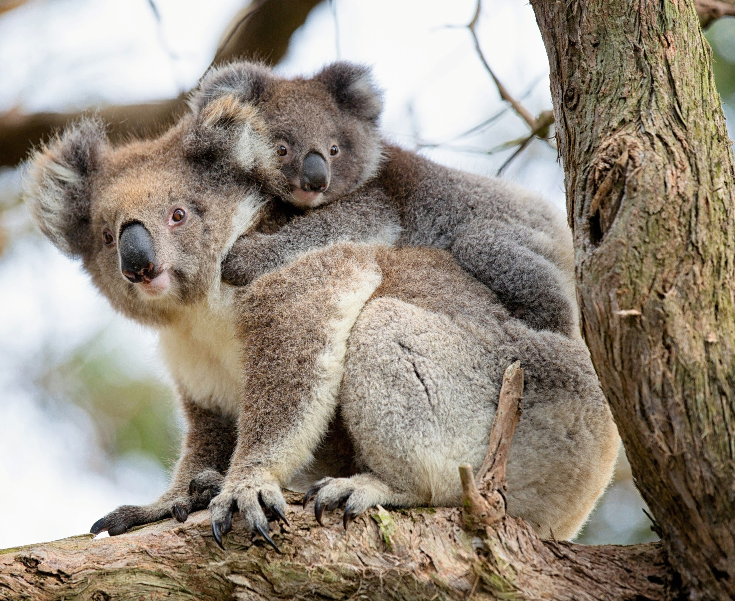 Nerokowu of leaks i was intrigued so inquired regarding