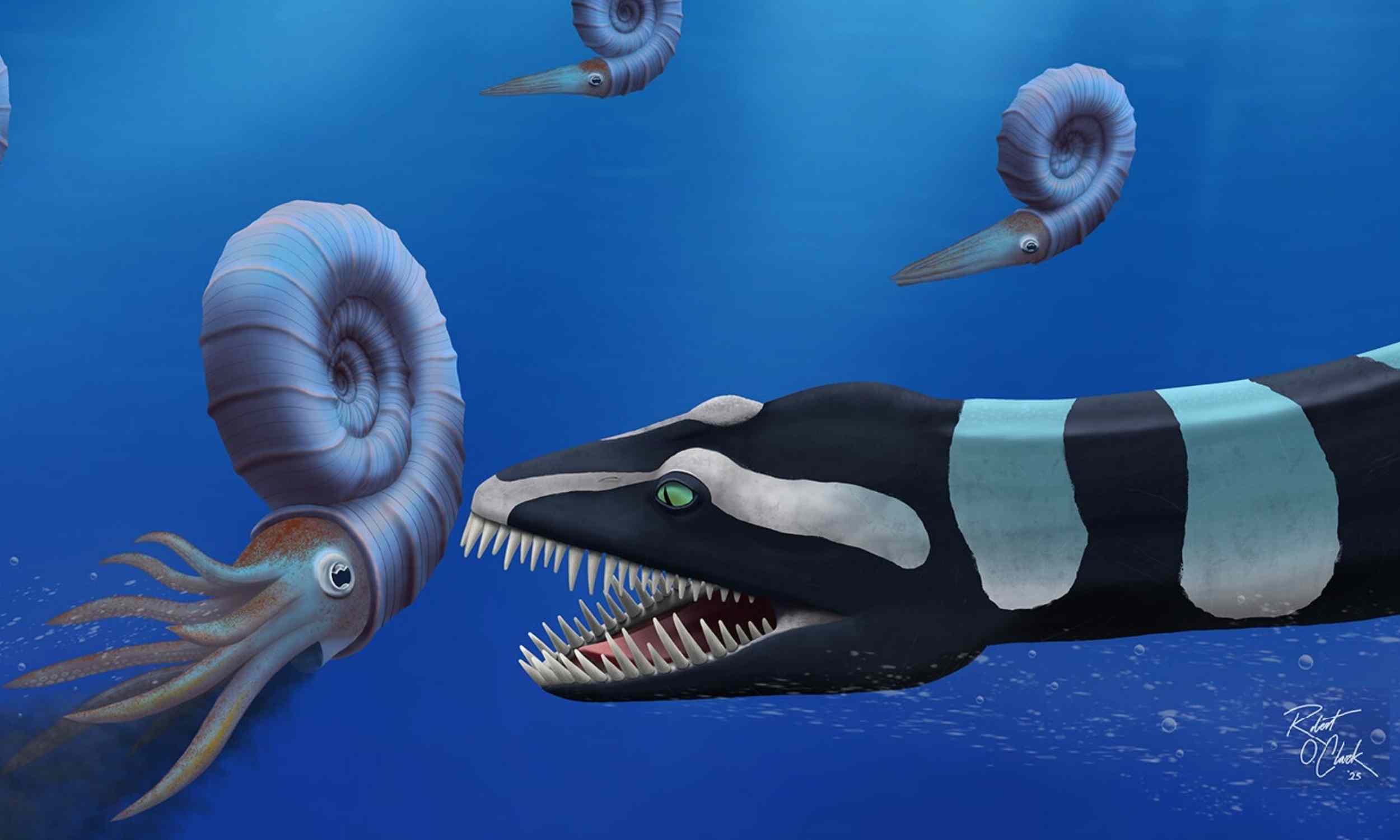 Predatory marine reptile identified as a completely new species