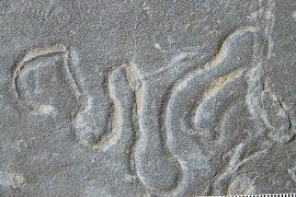 News article thumbnail