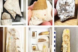 News article thumbnail