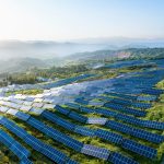 Solar farms need better design to protect wildlife