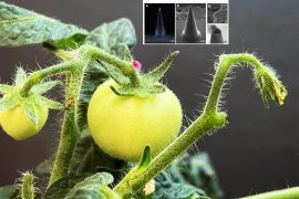 News article thumbnail