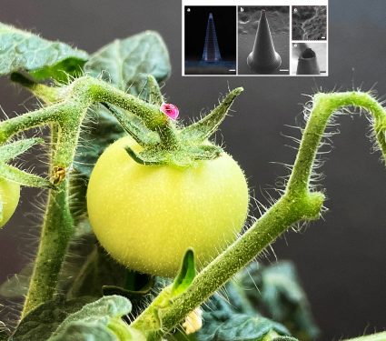 medium thumb with excerpt image