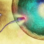 Scientists investigate how sperm and their flagellum manage to defy a major law of physics - Newton's third law of motion