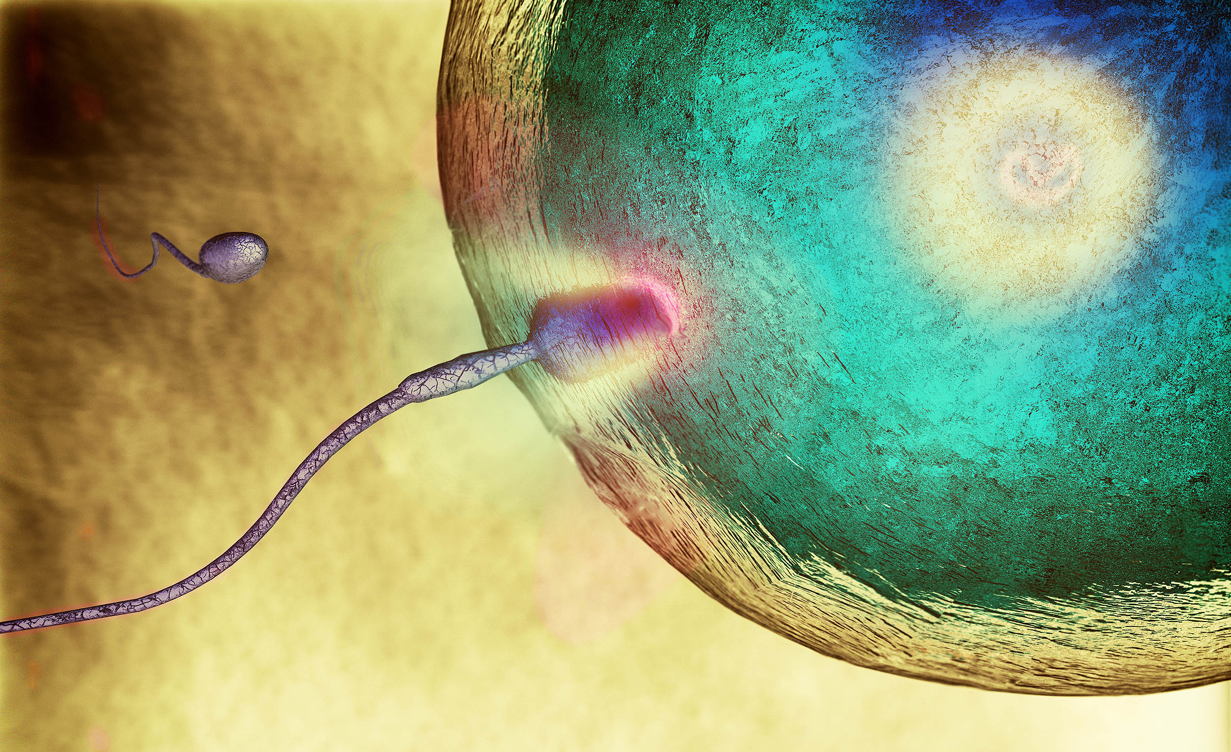 How sperm manage to defy a major law of physics