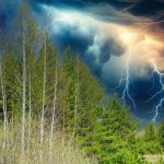 Lightning is zapping forests harder than we thought