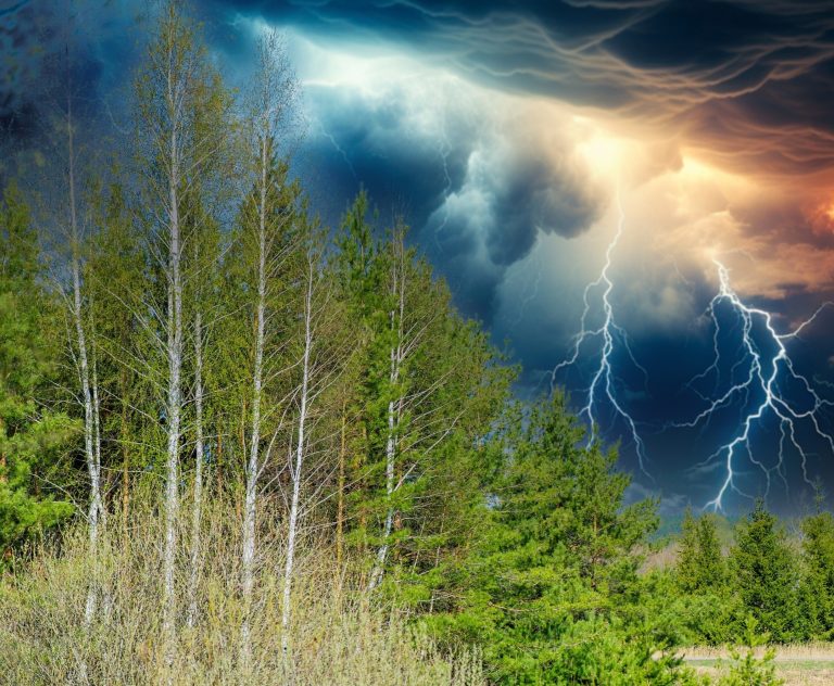 story of the day image