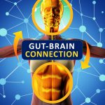 Newly discovered 'sixth sense' or 'neurobiotic sense' gut mind connection plays a vital role in behavior with an ancient protein called flagellin