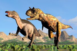 News article thumbnail